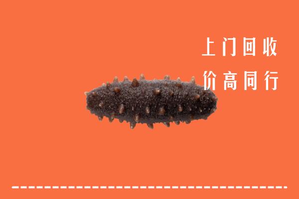 高价求购：滨州滨城区回收海参