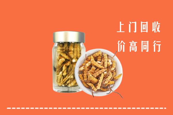 滨州滨城区回收冬虫夏草